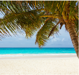 Plage sublime à Zanzibar